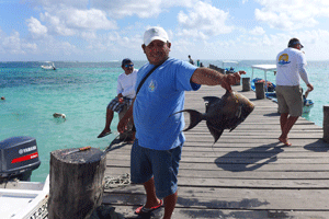 Puerto-morelos-fish